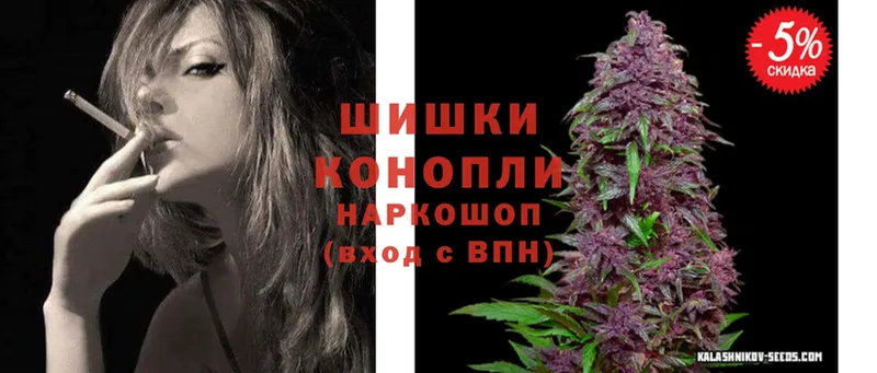 дарнет шоп  Новый Уренгой  hydra рабочий сайт  Каннабис White Widow 